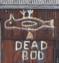 Dead Bod - Hull